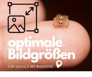 Eine winzige Spinne auf einem menschlichen Finger, neben Text über optimale Bildgrößen für Google My Business auf Deutsch, speziell zu unterschiedlichen Bildformaten.